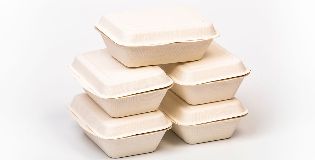 https://6369012.fs1.hubspotusercontent-na1.net/hubfs/6369012/Mycelium-A-New-Age-Packaging-Material_cover_image.jpg